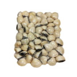 AMEIJOA BRANCA GRANDE MOREIRA 8x800gr