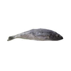 PEROLA DO MAR New CARAPAU 1000+ HIG. 1x10Kg