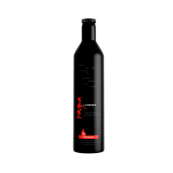 MAGMA AGUA C/ GAS ALUMINIO 20x50cl