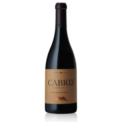 CABRIZ TOURIGA NACIONAL TINTO DÃO 6x75cl