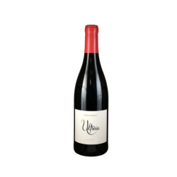BIERZO ULTREIA SAINT JACQUES 2021 12x75cl.