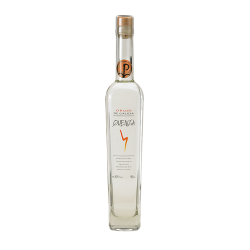 QUENZA ORUJO BRANCO 42  6x50cl