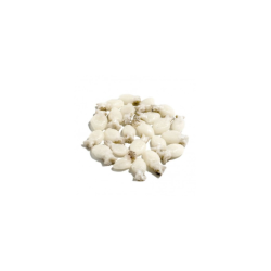 PERLA DEL MAR SEPIOLINE 20/40 10x1Kg