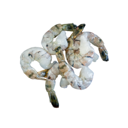 SEAGULL TAIL-ON BLACK TIGER 16/20 700gr 10x1Kg