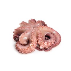 REY DEL PULPO PULPO CON CABEZA N2 6x(1-2Kg+-)