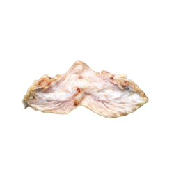 BEIRA NOVA CARAS BACALHAU HIG. 1x8Kg