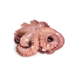 REY DEL PULPO PULPO CON CABEZA RIZADO EN FLOR T2 4x(3-4Kg+-)