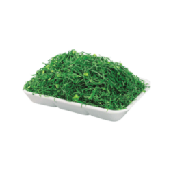 PEROLA DO MAR New COUVE PARA CALDO VERDE 12x250gr
