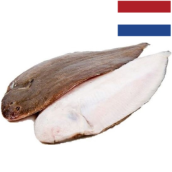 DAYSEADAY LENGUADO NR. 3 1x10Kg (200-300gr)