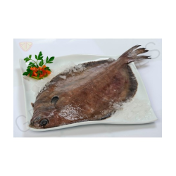 DAYSEADAY LENGUADO Nr5 1x10Kg (120-170gr)