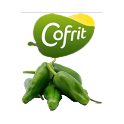COFRIT PIMIENTOS DEL PADRÓN 8x300gr